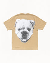 BIG DOG STONE WASHED TEE