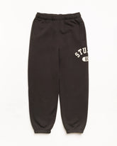 VARSITY FLEECE PANT