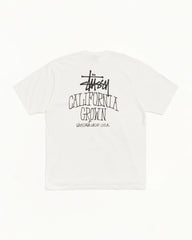 CALI GROWN TEE PIGMENT DYED
