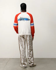 STRIPE RAGLAN CREW