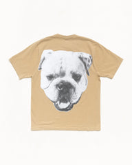 BIG DOG STONE WASHED TEE